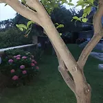 بيت ضيافة Antonio